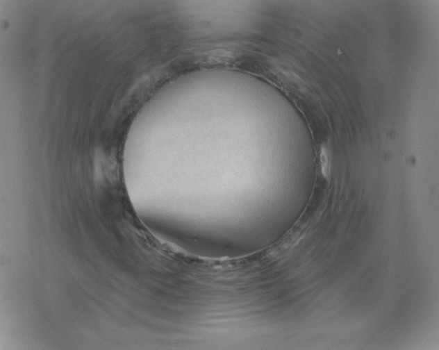 X0000076261395200610122218