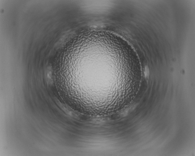 X0000076261396200610122218