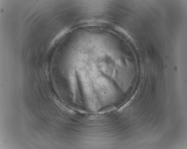 X0000076261403200610122218