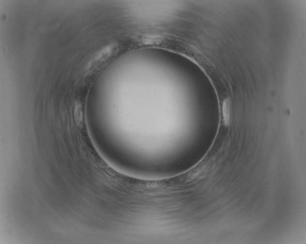 X0000076261443200610122218