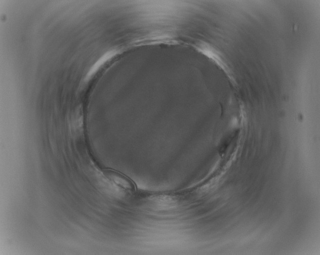 X0000076261450200610122218