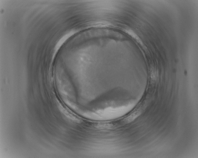 X0000076261466200610122218