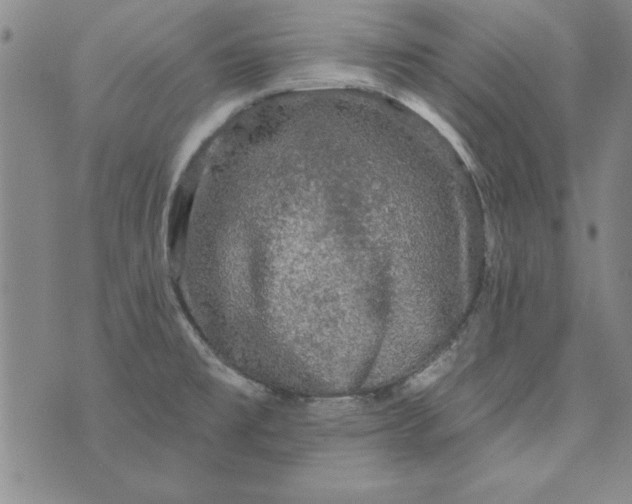 X0000076261477200610122218
