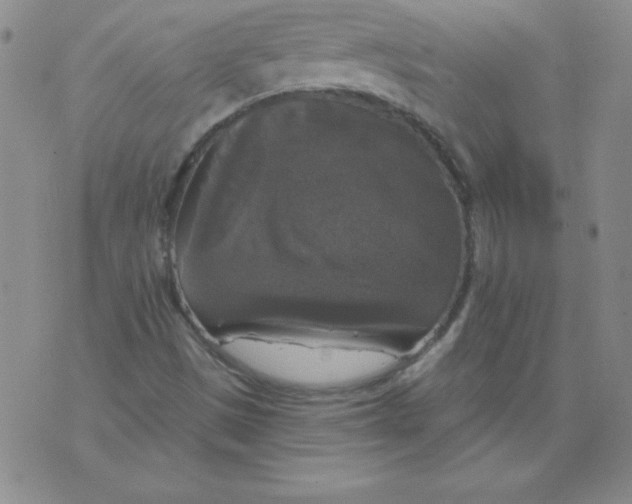 X0000076261497200610122217