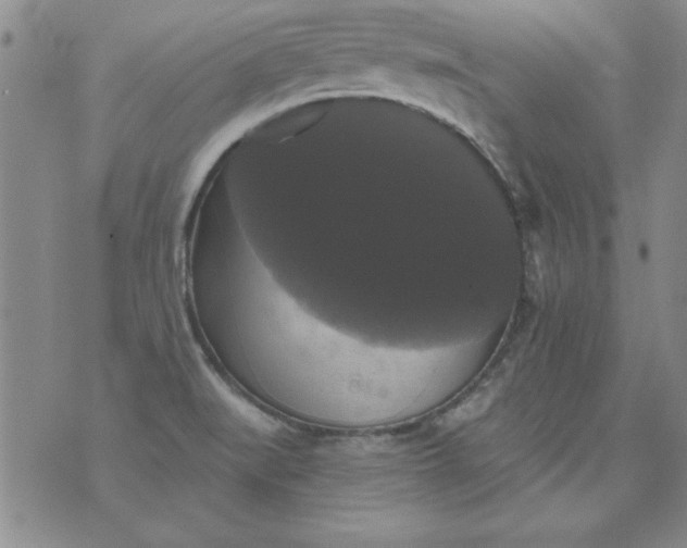X0000076261519200610122217