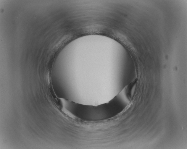 X0000076260021200610191726