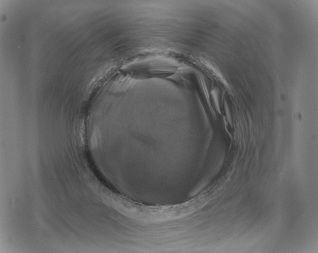 X0000076260023200610191725