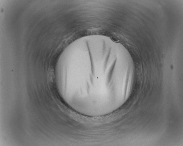 X0000076260038200610191725