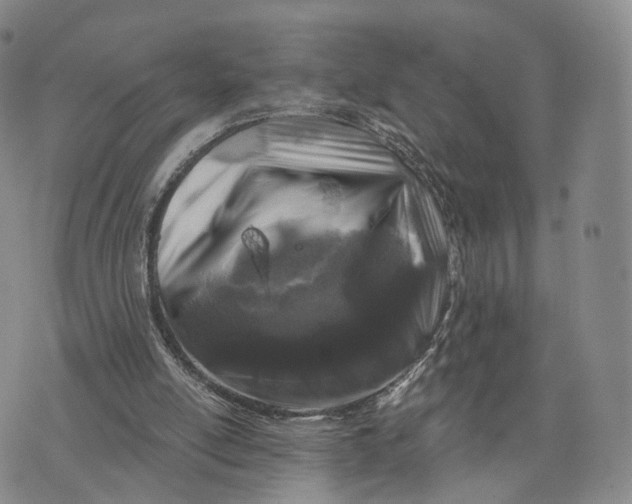 X0000076260054200610191724