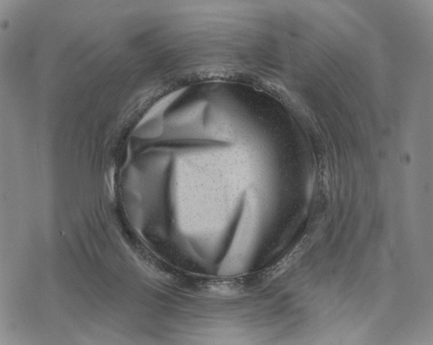X0000076260070200610191725