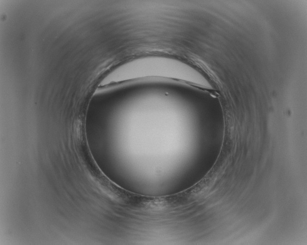 X0000076260071200610191725