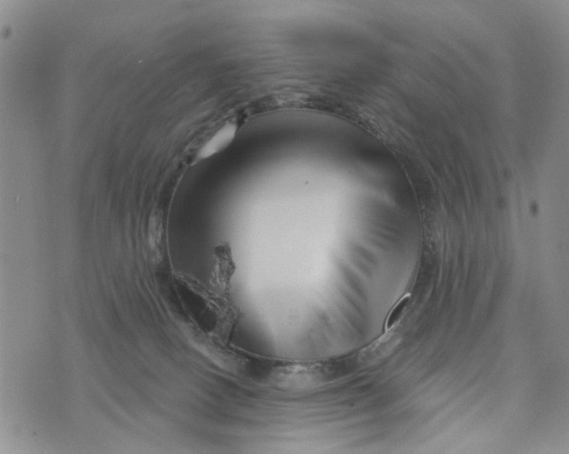 X0000076260082200610191725
