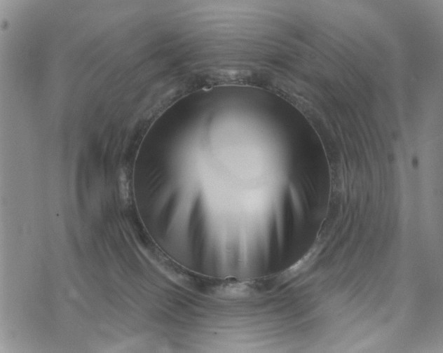 X0000076260086200610191725