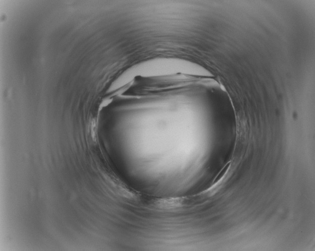 X0000076260094200610191725