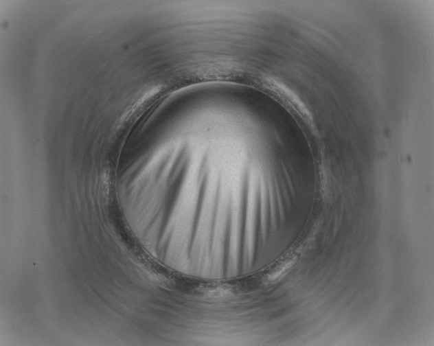 X0000076260113200610191724