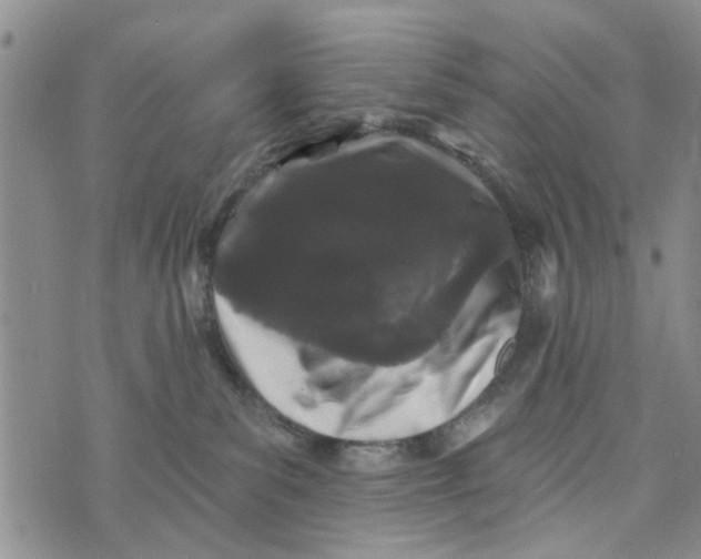 X0000076260139200610191724