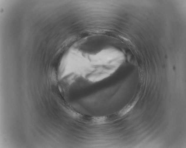 X0000076260143200610191723