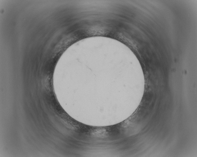 X0000076260162200610191723