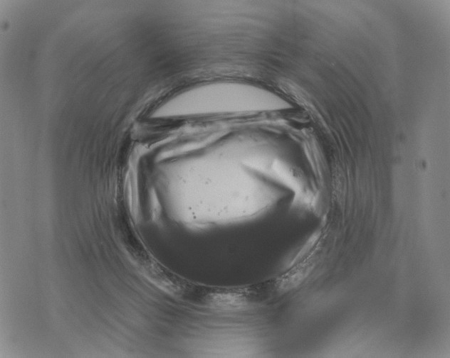 X0000076260167200610191723