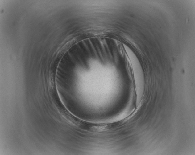 X0000076260170200610191723