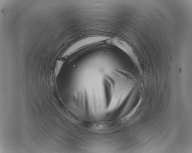 X0000076260174200610191723