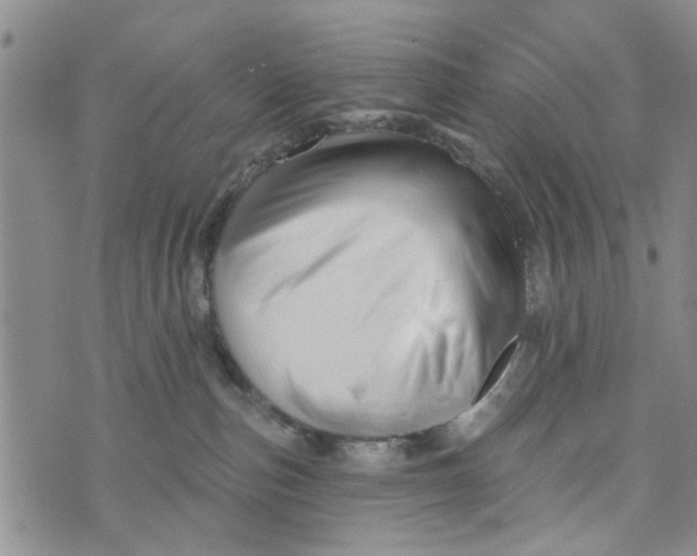 X0000076260187200610191723