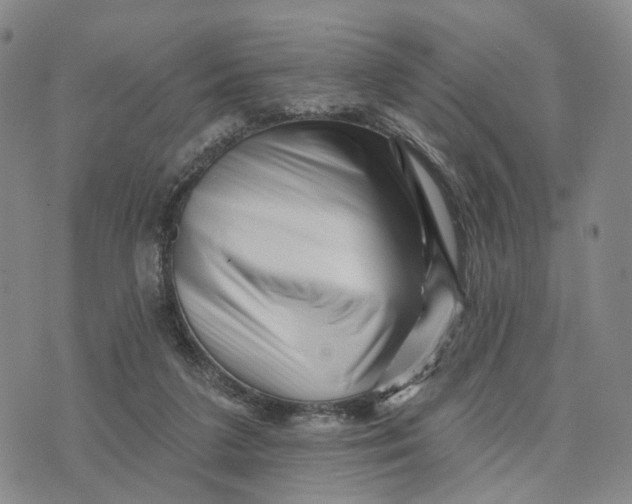 X0000076260211200610191722
