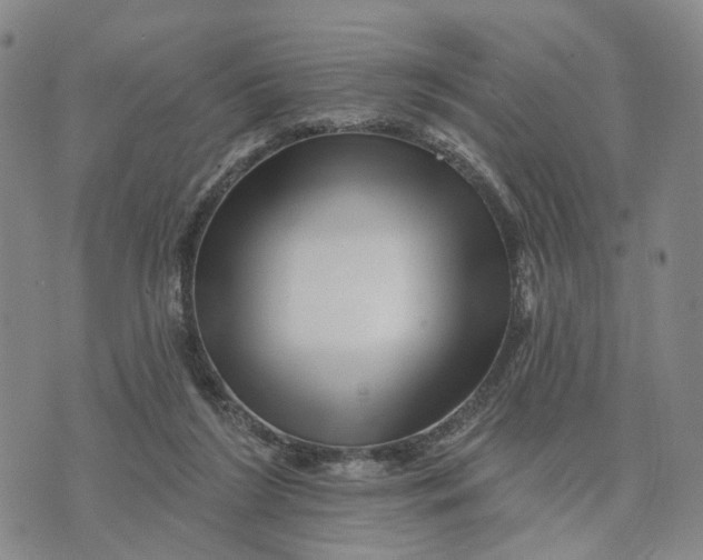 X0000076260212200610191722