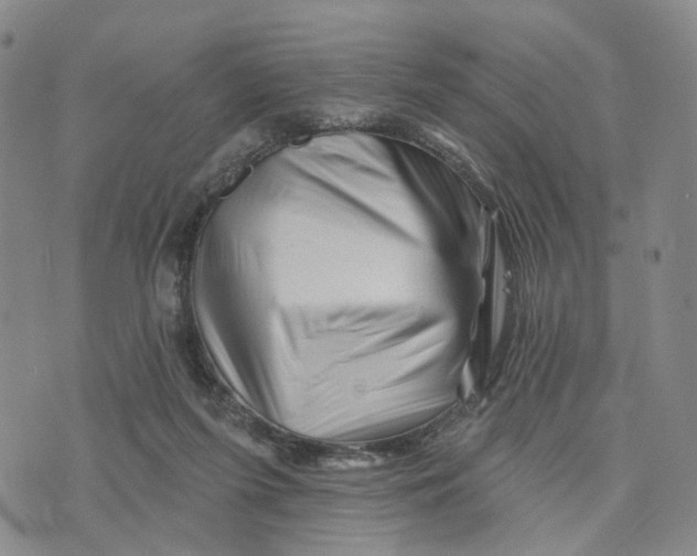 X0000076260215200610191722