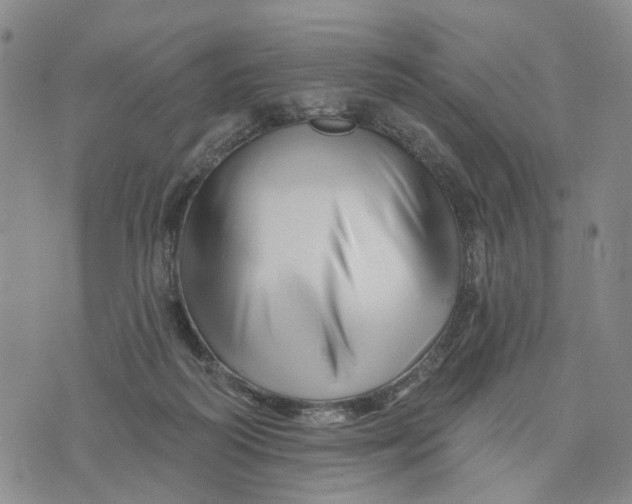 X0000076260218200610191722