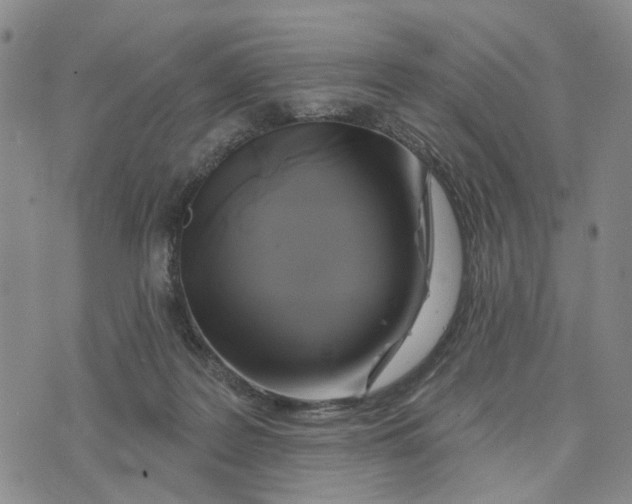 X0000076260219200610191722