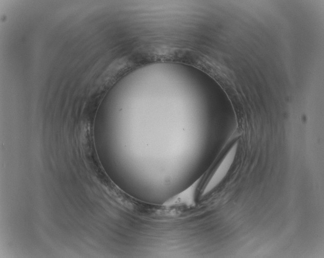 X0000076260225200610191722