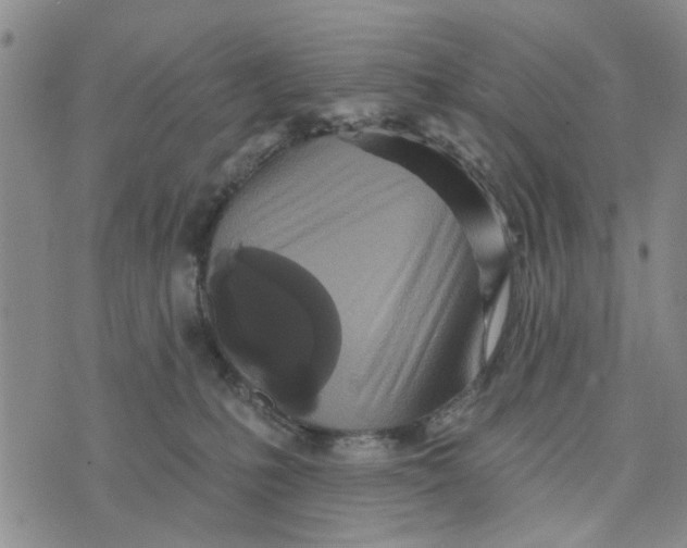 X0000076260231200610191722