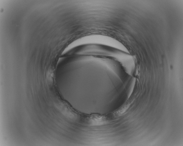 X0000076260235200610191722