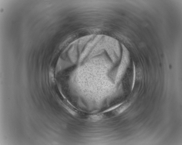 X0000076260238200610191722