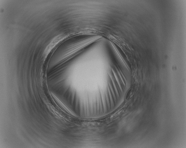 X0000076260242200610191721