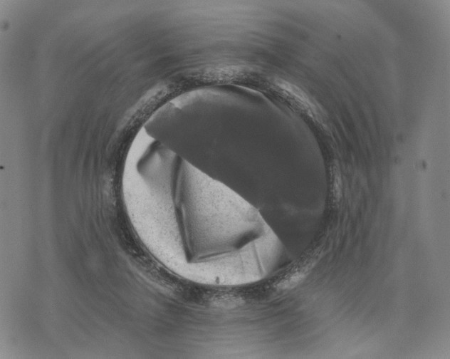 X0000076260258200610191721