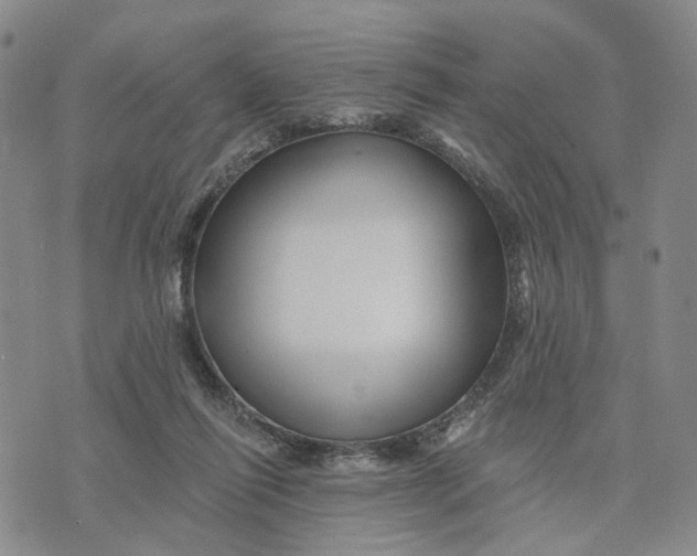 X0000076260262200610191721