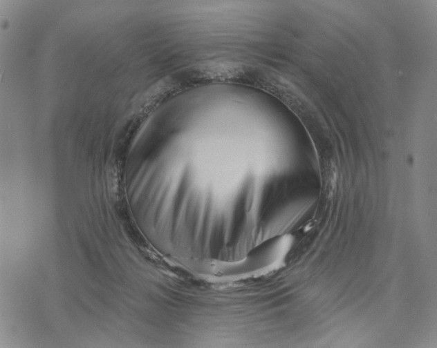 X0000076260268200610191721