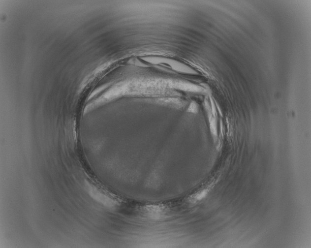 X0000076260302200610191721