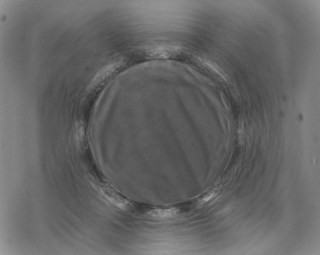 X0000076260314200610191721