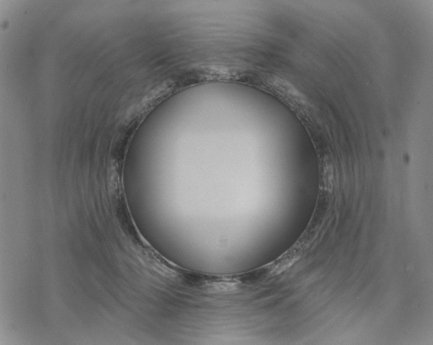 X0000076260318200610191721
