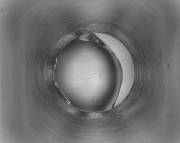 X0000076260333200610191720