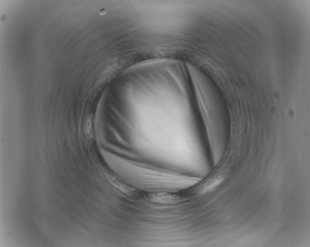 X0000076260336200610191720