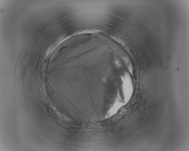 X0000076260337200610191719