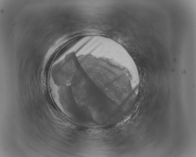 X0000076260343200610191720