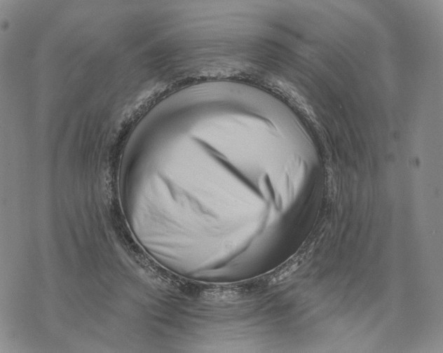 X0000076260354200610191720