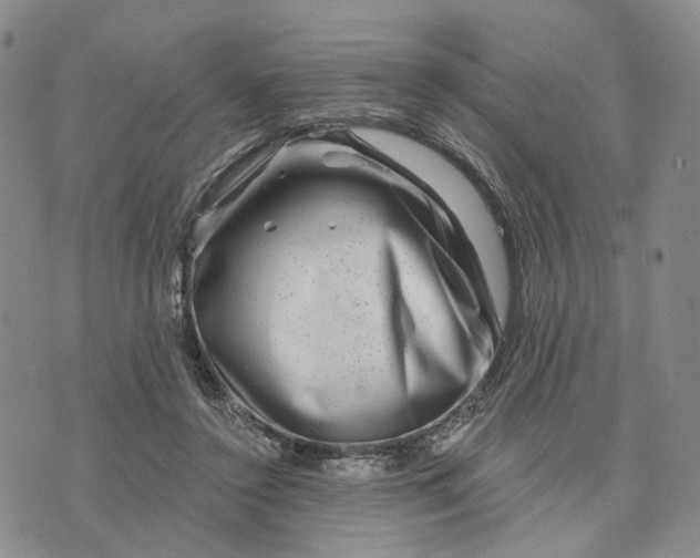 X0000076260356200610191720