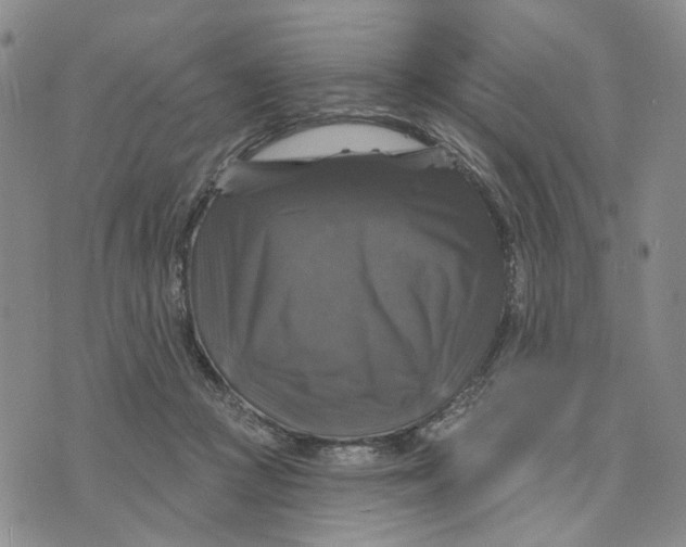 X0000076260361200610191720