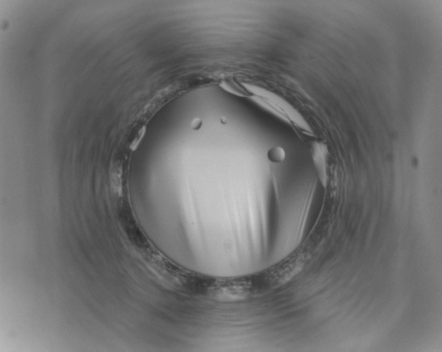 X0000076260368200610191720